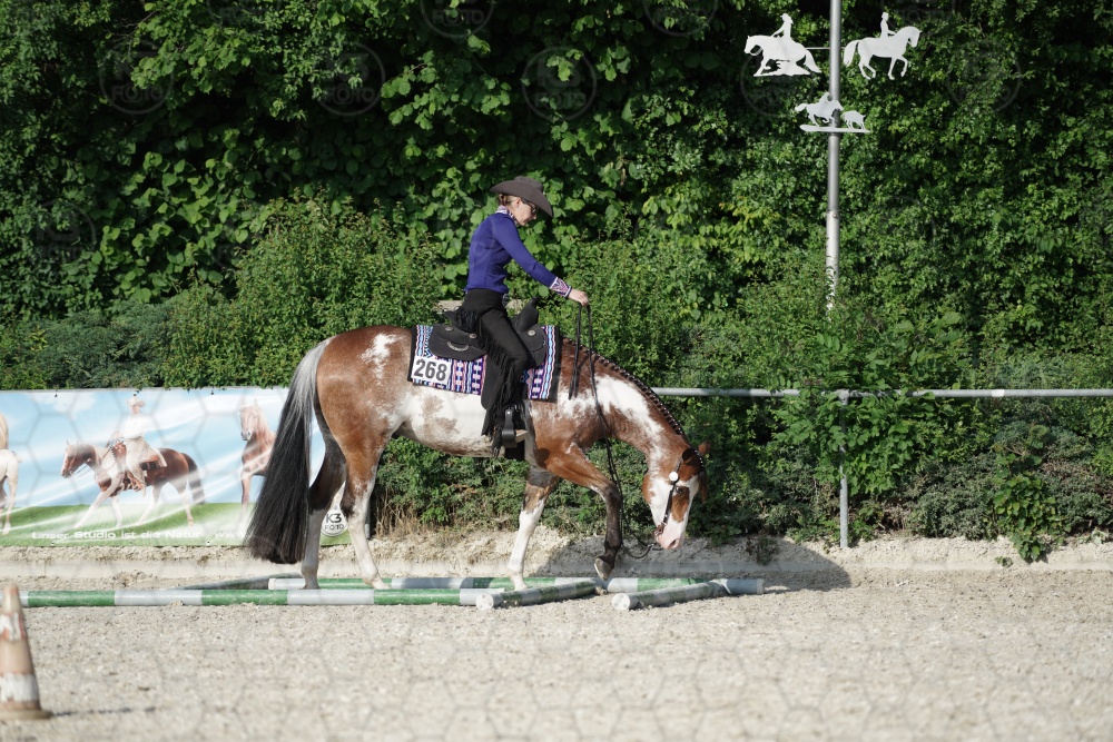 s_APF07019.jpg